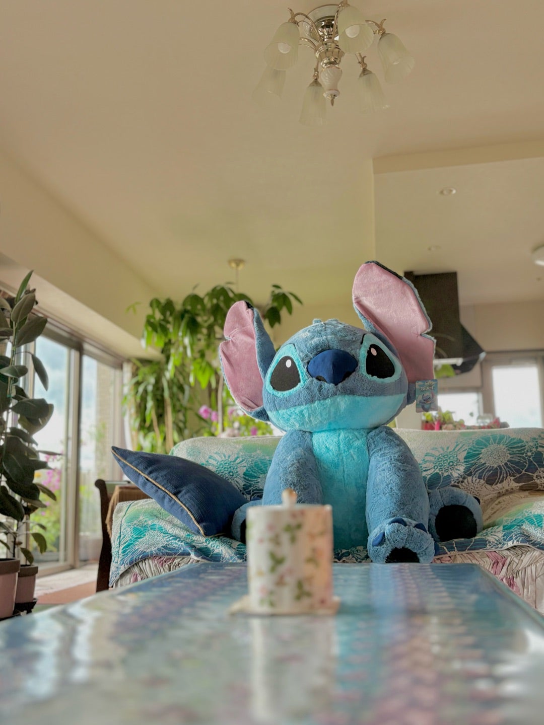 コストコで入手困難な特大スティッチ | 満花今日