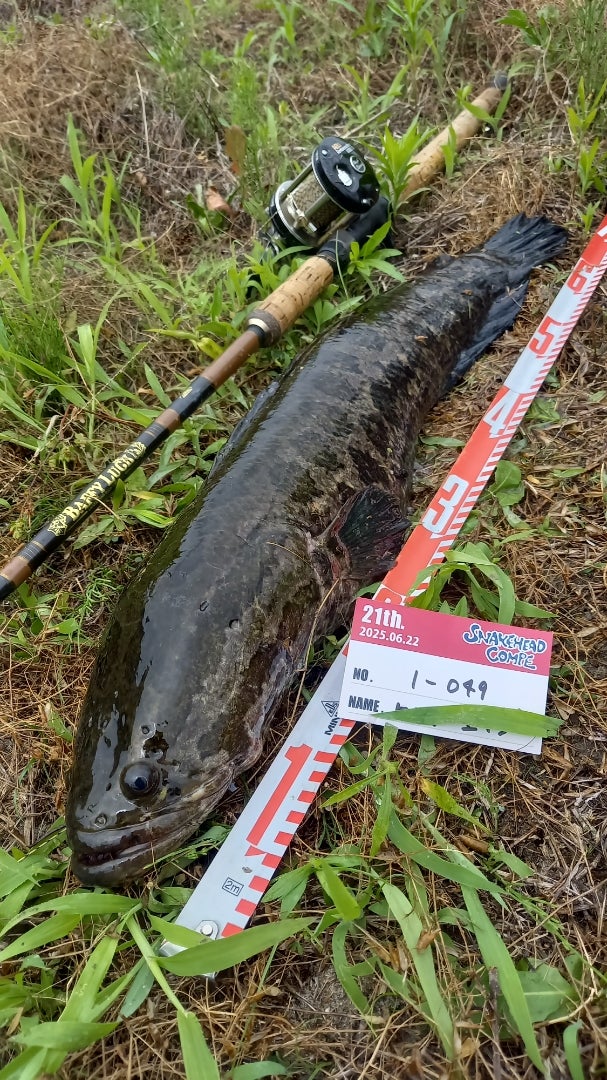 高井主馬の新着記事｜アメーバブログ（アメブロ）