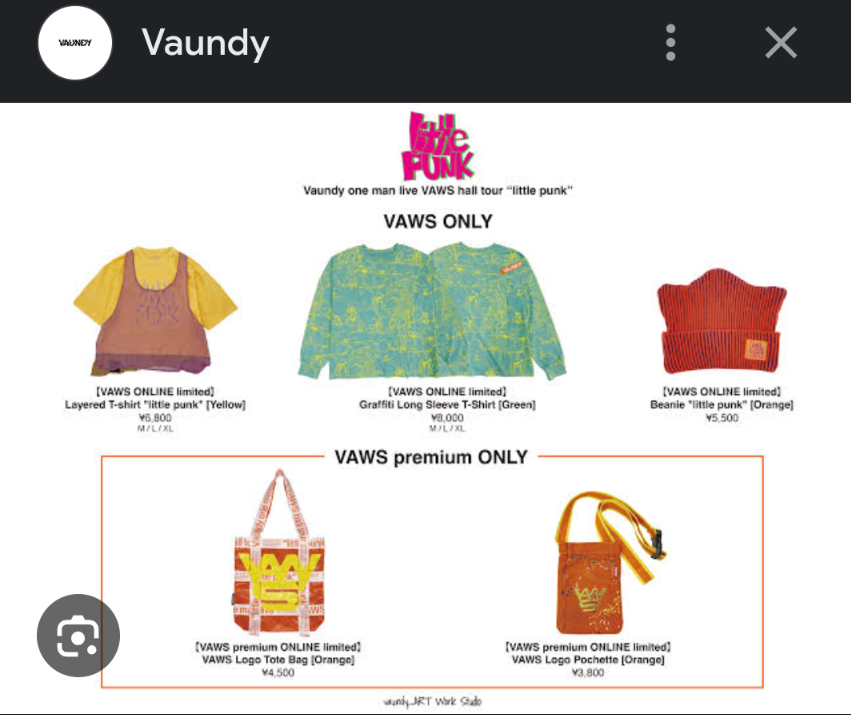 Vaundy プレミアム会員限定グッズ | いろんなことがありありで