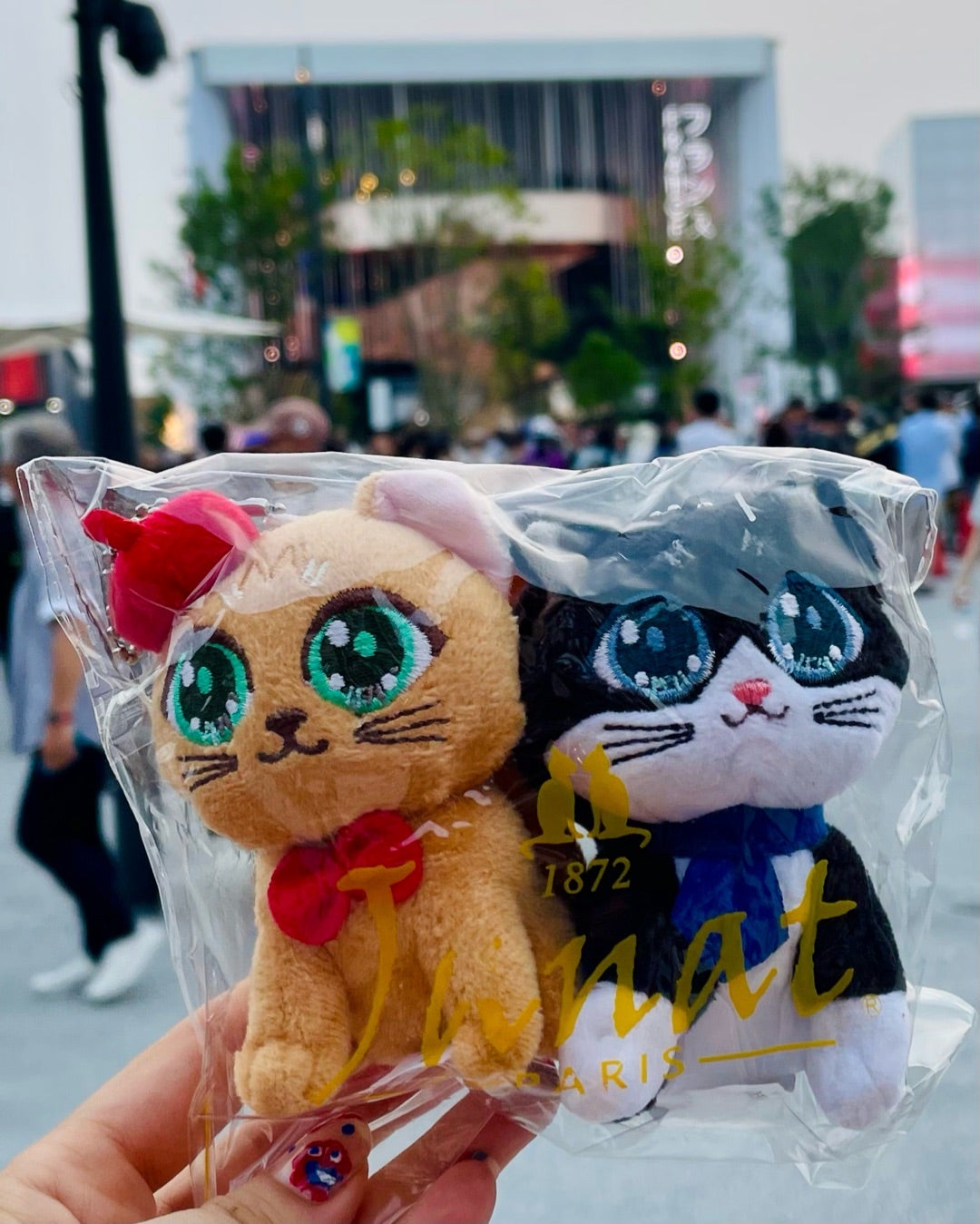 紅茶好きさんにオススメ万博お土産 | 桜井ういよオフィシャルブログ