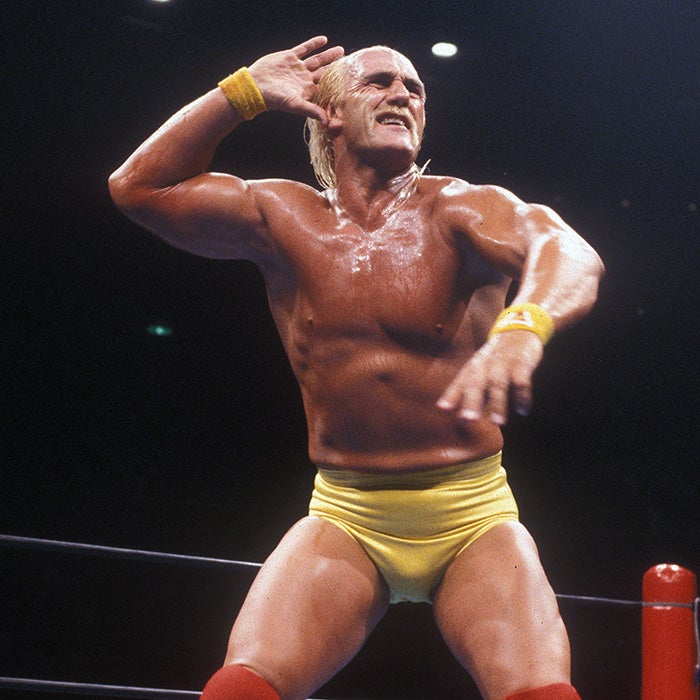 プロレスラーハルク・ホーガン氏死去 | かっちんブログ 「朝鮮学校情報