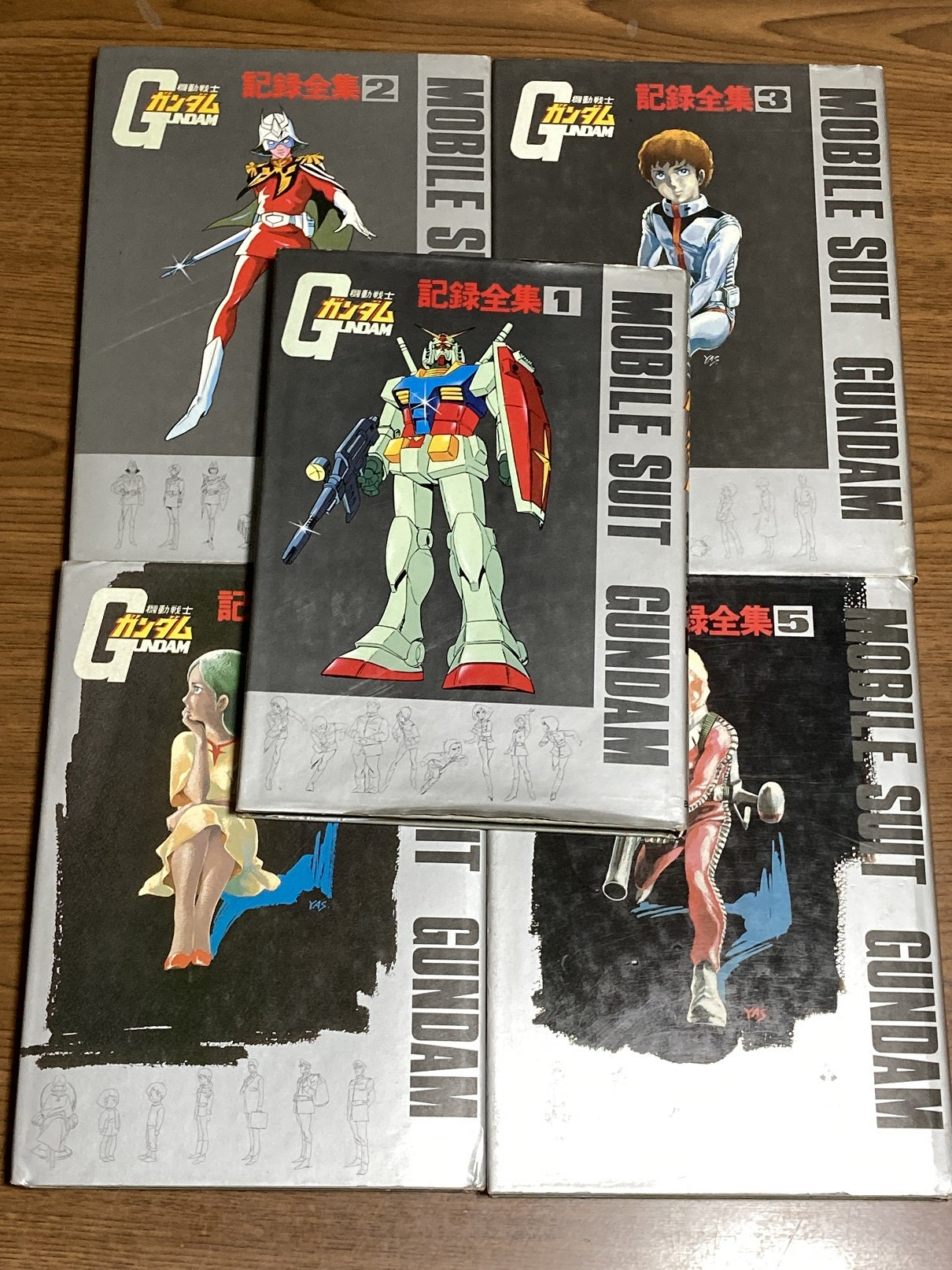 当時、夢中で見ていたアニメ『機動戦士ガンダム』の記録全集 全5巻