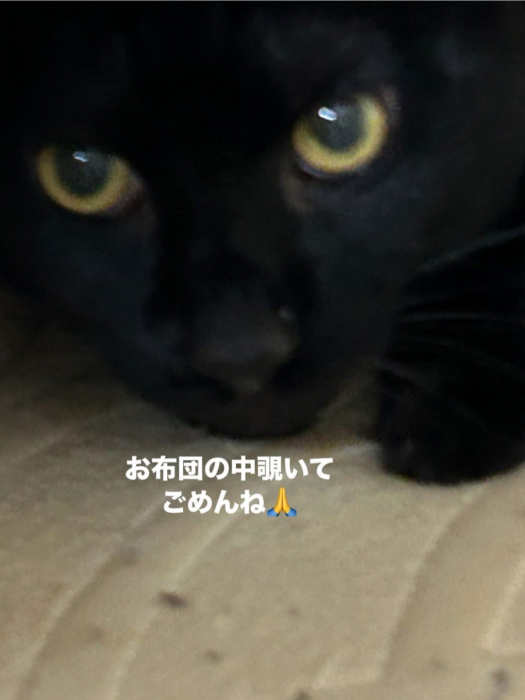 次の到達目標250万円へ向けて日々頑張ってます】お家に残されてる5