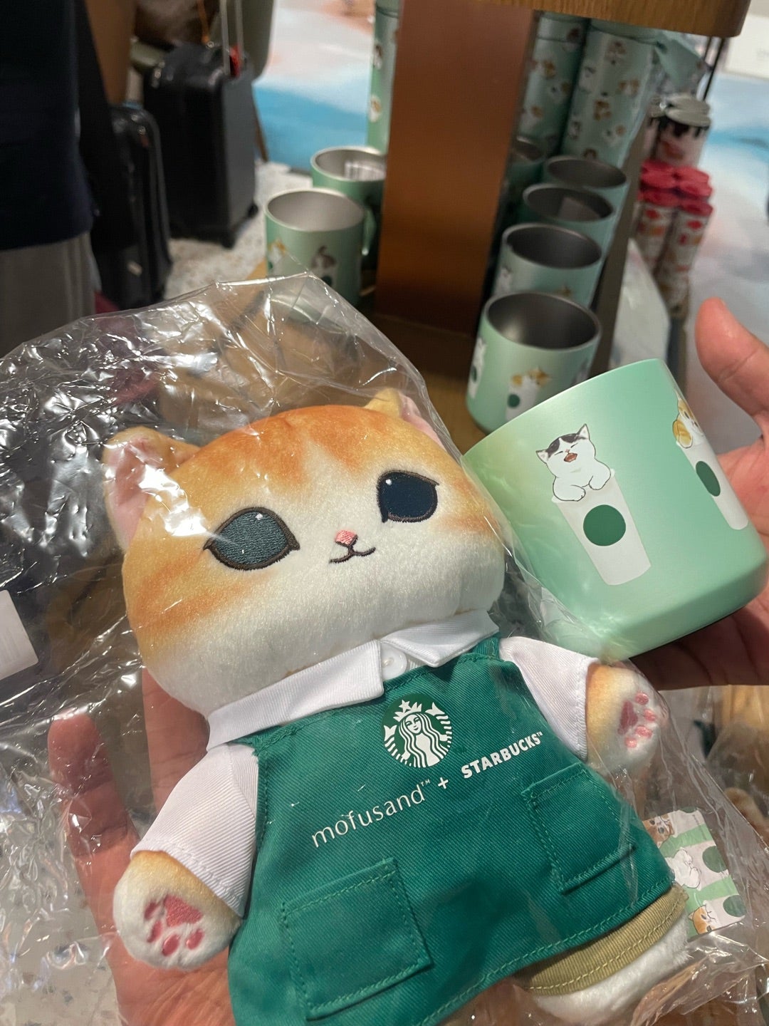 スタバ✖️mofusand | よれこの体当たりシンガポール