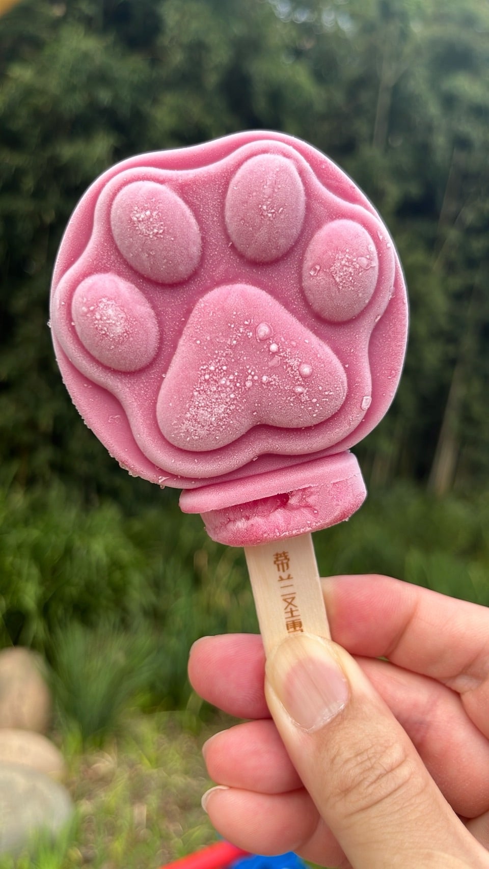 これって何味？？ズートピアで見たアイスキャンディー | アキヒーロー