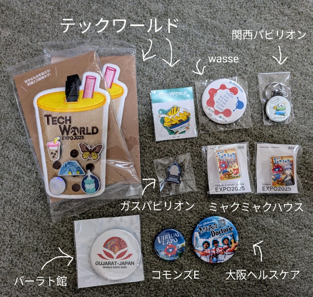 My万博ピンバッジ収集図鑑一覧☆ぼっち大阪関西万博 | 娘との