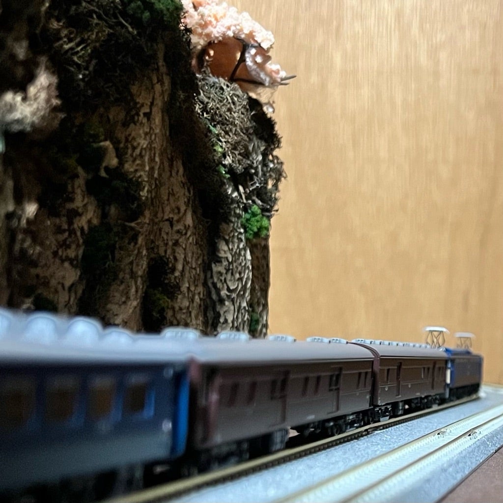 KATO 10-1623&1624“43系夜行急行「きそ」”入線。#2 | Swallowtail@Ameba