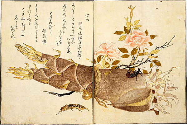 蔦屋重三郎と喜多川歌麿 | やまちゃん1のブログ