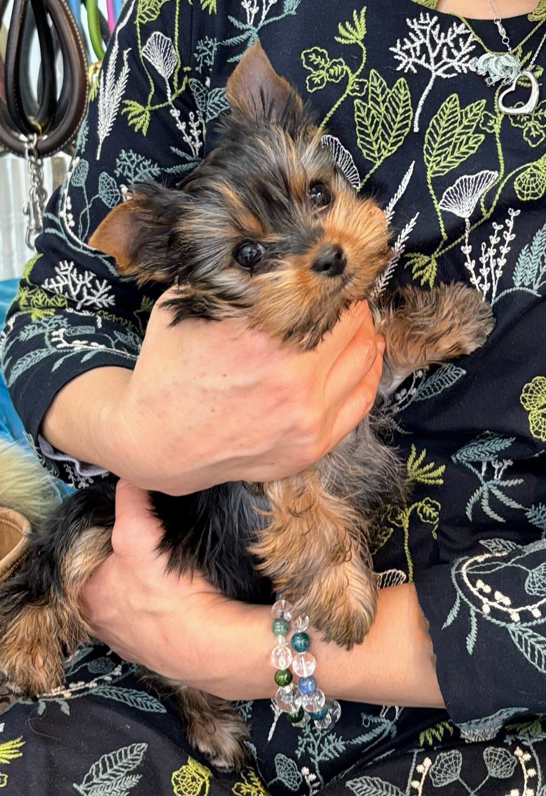 早坂風香さんのプロフィールページ