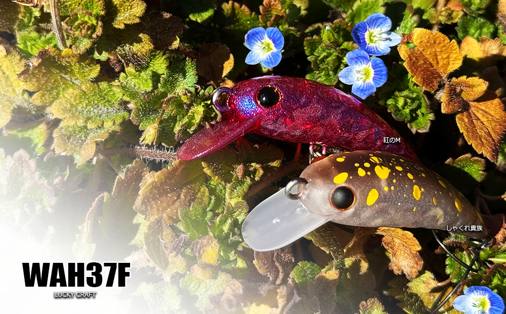 ☆受付開始!!ロデオクラフト JH-LTD White wolf 606L-e 大人のグリーン