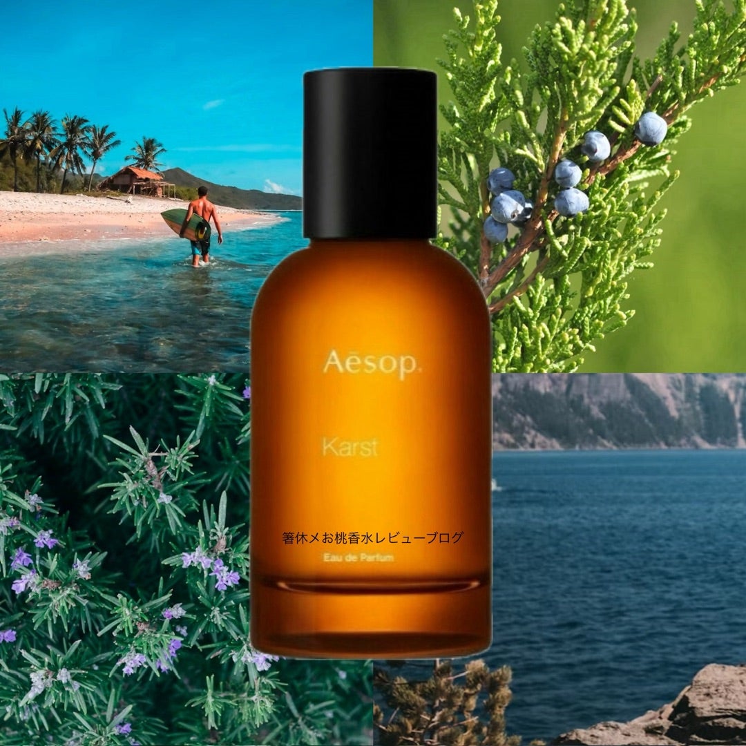 陸の植物で作る海の香り 香水レビュー カースト イソップ | 香水
