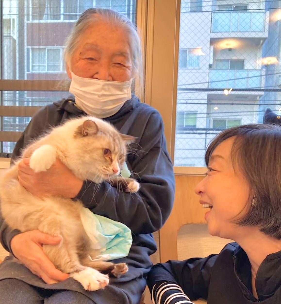 ほっこりばなし♪ | しあわせにゃんこのブログ