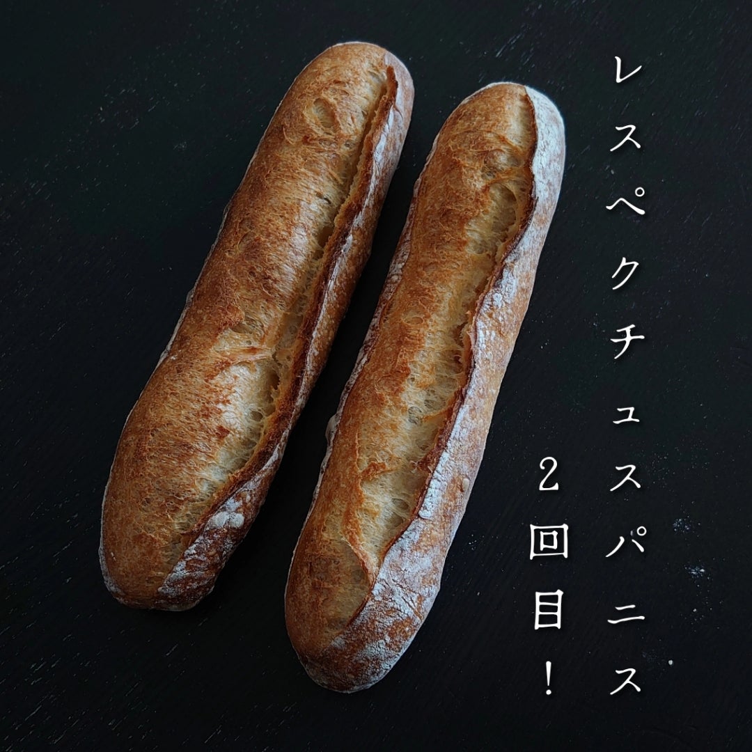 レスペクチュスパニス！今さらですが、やってみました。 | ハードパン