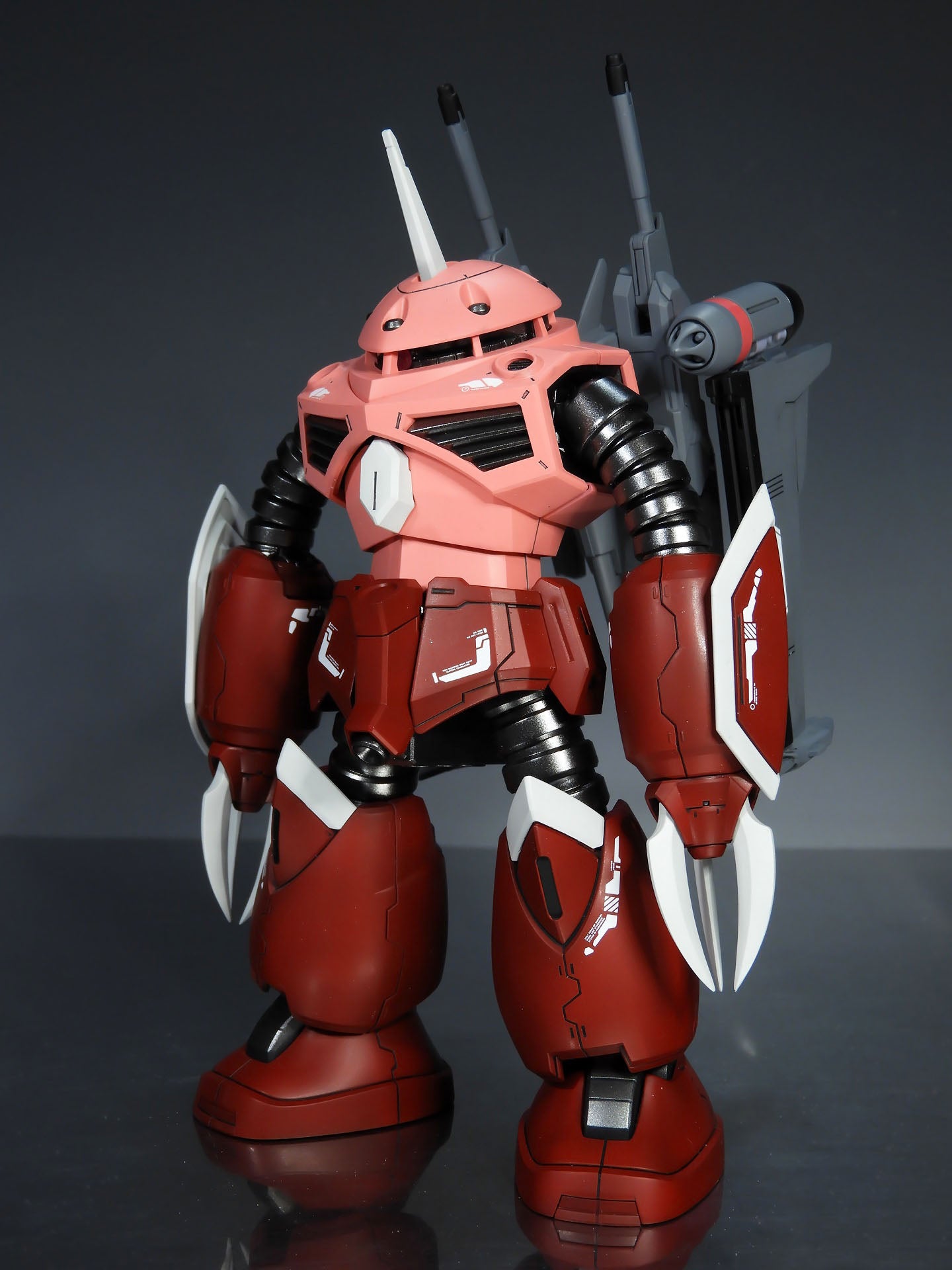 HG ズゴック(SEED FREEDOM Ver.) 塗装 | @in's Hobby Room