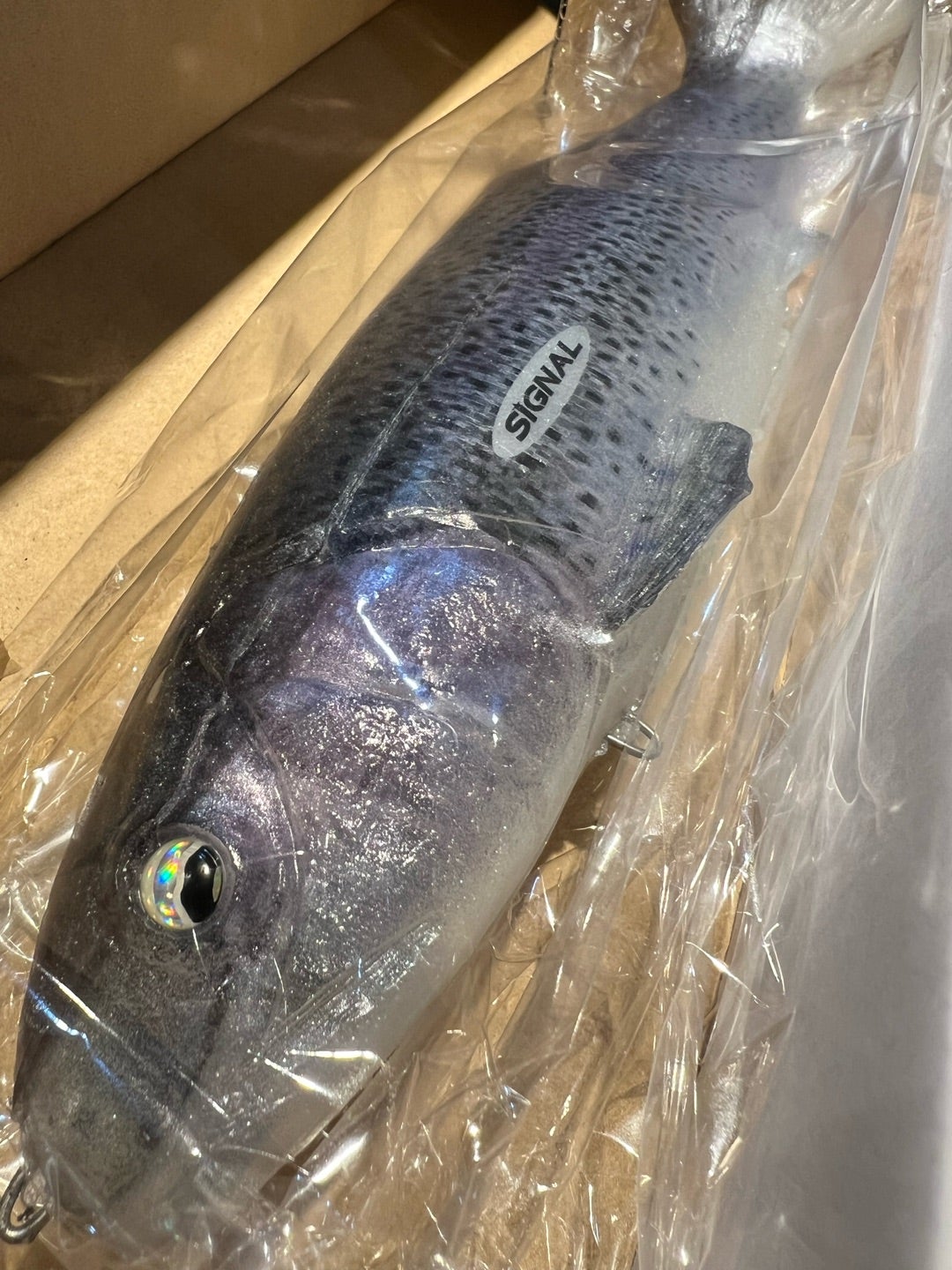 ウルトラカープ久々の入荷 | HAMAスタッフBLOGⅡ