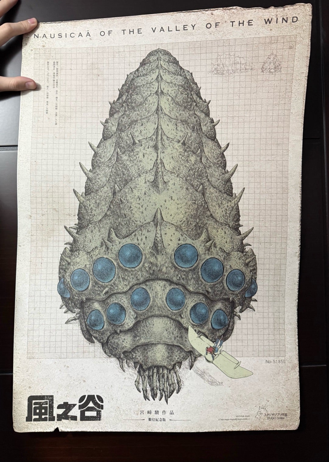 台湾で風の谷のナウシカの映画が熱烈歓迎されているワケは？ | 台北人