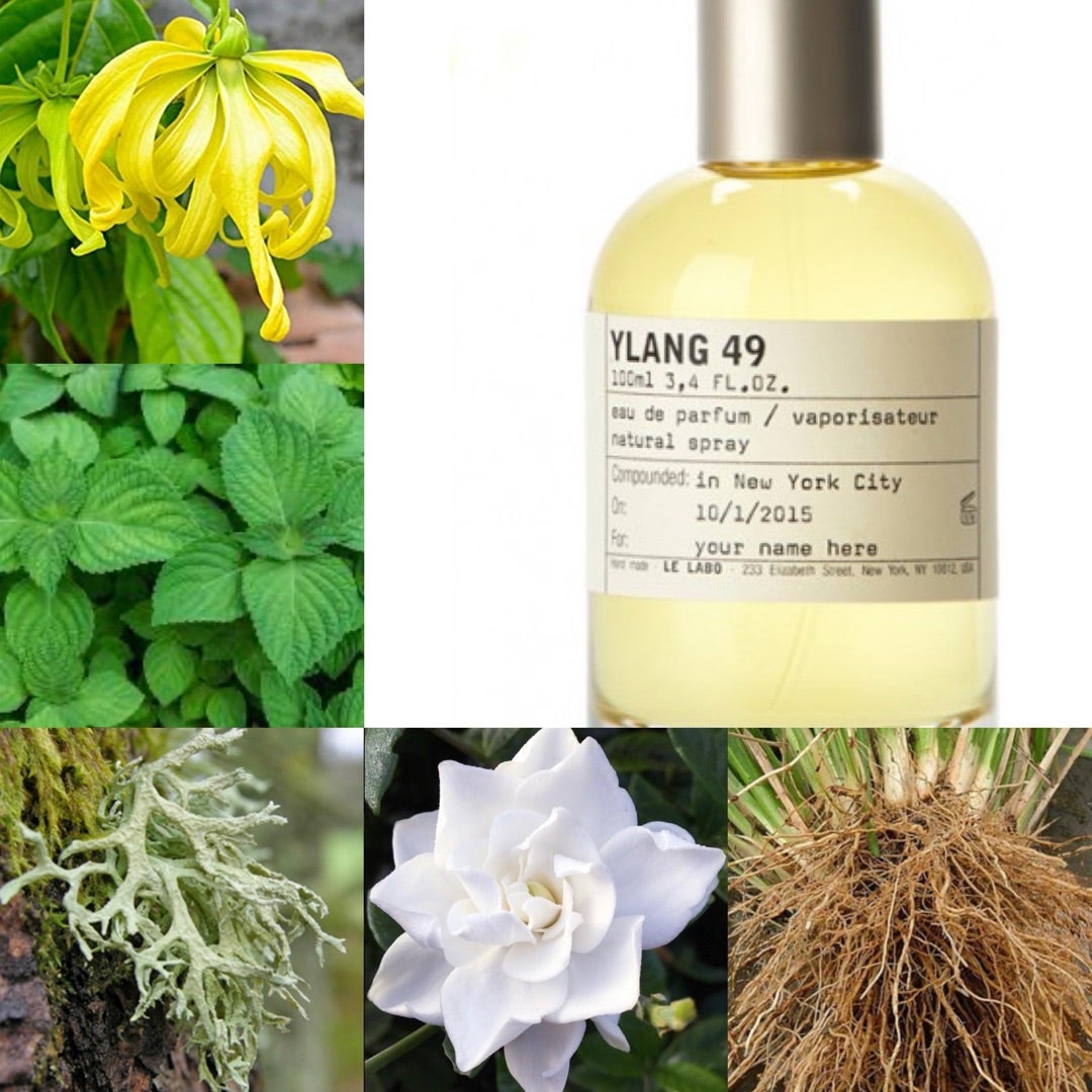 南国系ではないイランイラン 香水レビュー イラン49 ルラボ | 香水