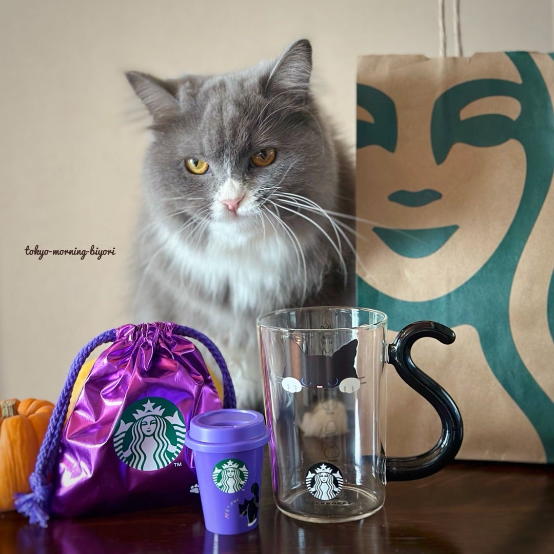 スターバックス グッズ】ハロウィン2025耐熱グラスマグキャット