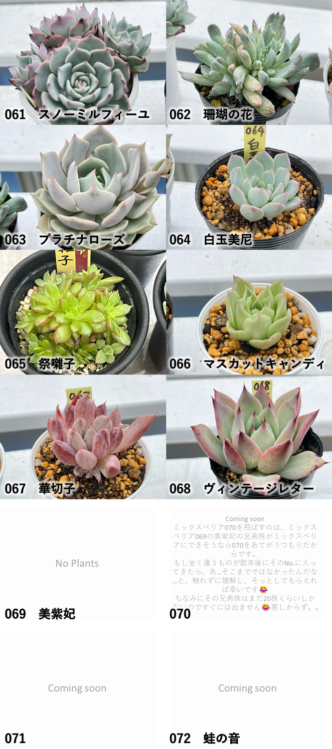 2025年度のおらいさん苗ミックスベリアまとめ一覧‼️図鑑完全版に一つ