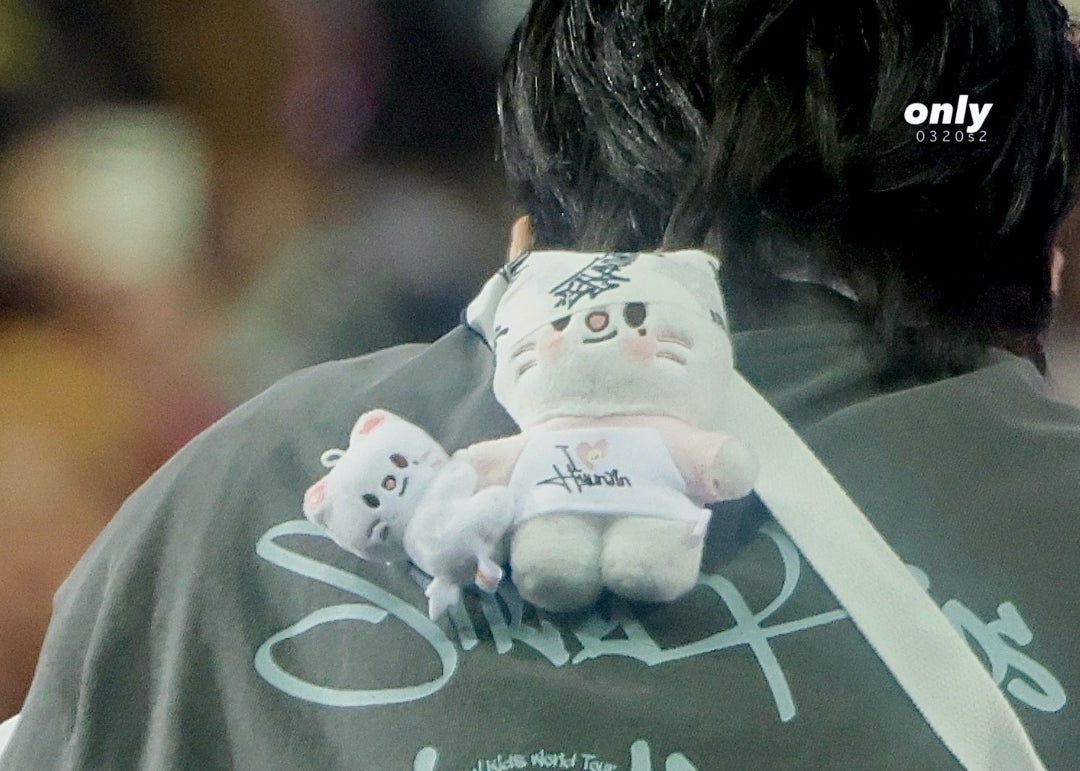 ヒョンジン × ジニレット＊推しとぬいぐるみ、かわいい | スキズ