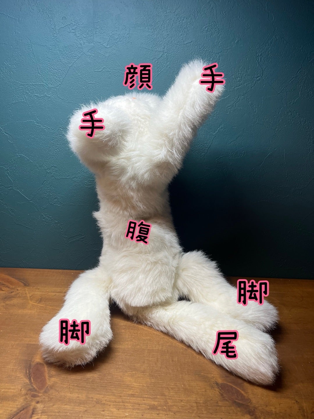 オオイケのペルシャ猫ボビー（後編） | ミニピン&イタグレのいる暮らし