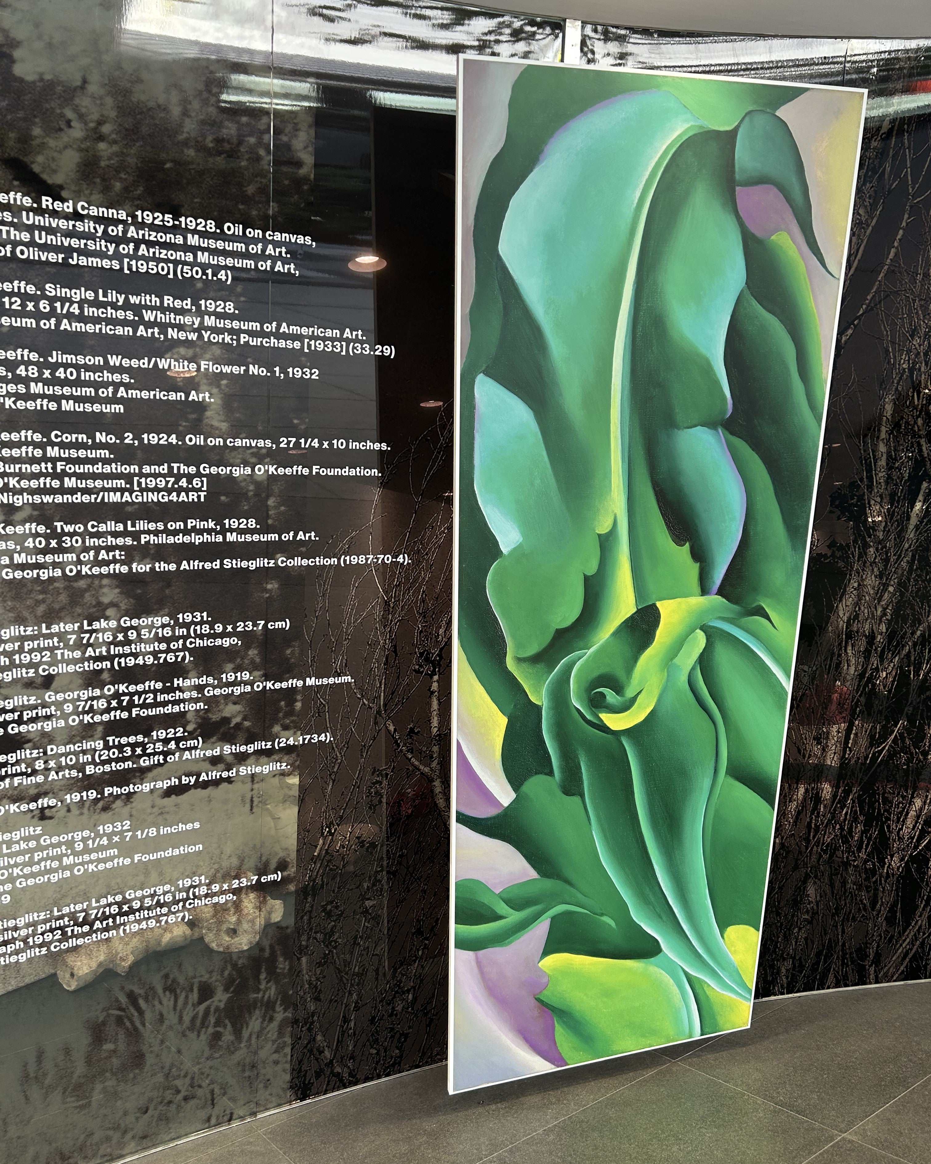 ジョージア・オキーフとコムデギャルソン、アートとモードが交差する