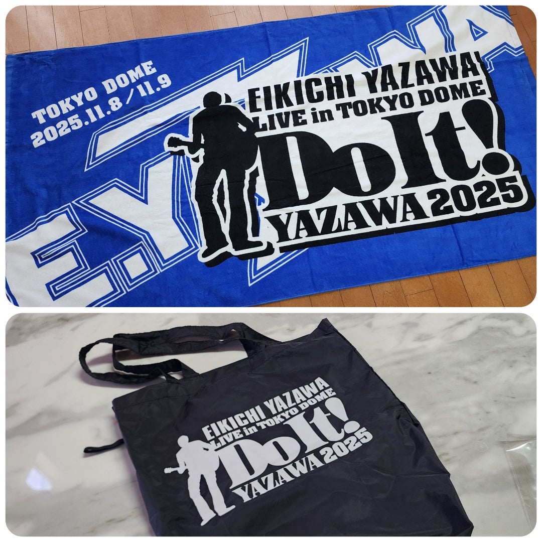 YAZAWA 東京ドーム参戦 ② | 道産子しろくまのお茶目日記