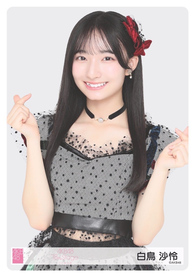 AKB48 20th Year 生写真48(フォーティーエイト)チャレンジ開催の