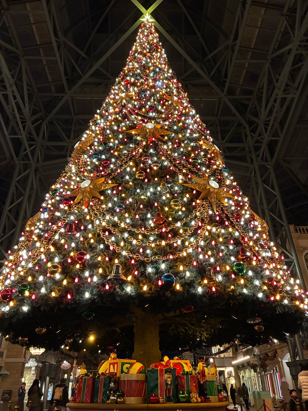 JCBマジカルクリスマス2025｜ディズニー貸切レポ ① | はむたま懸賞記録