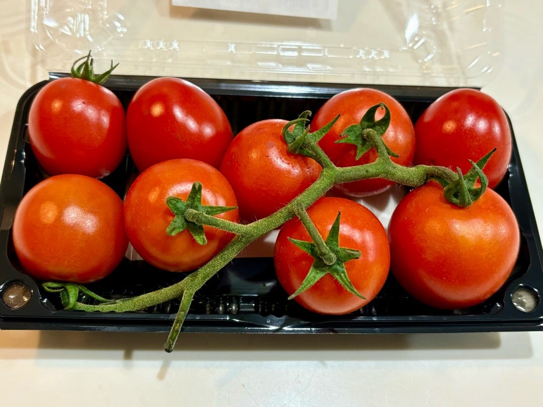 ミディアムトマト♪ | あんみつこのブログ