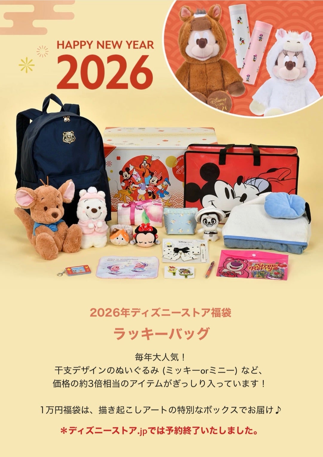 2026年ディズニーストア福袋】在庫なし！甘かった…(泣) ディズニー福袋