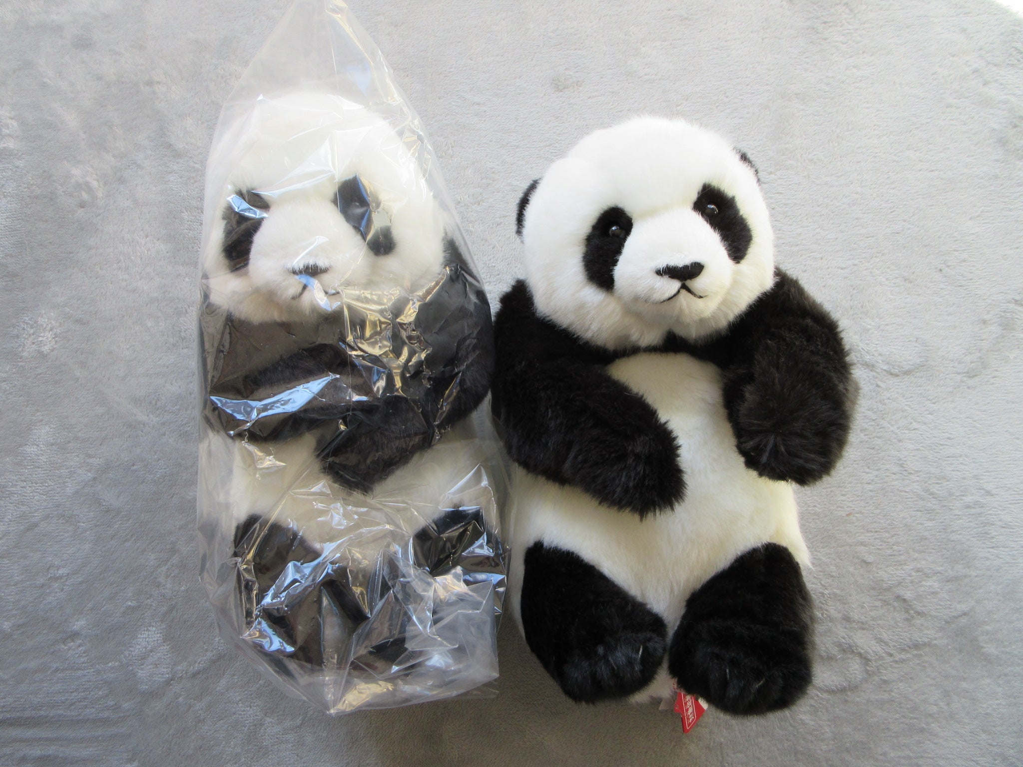 シャオシャオとレイレイのぬいぐるみ抱っこミニ | パックンパンダのブログ