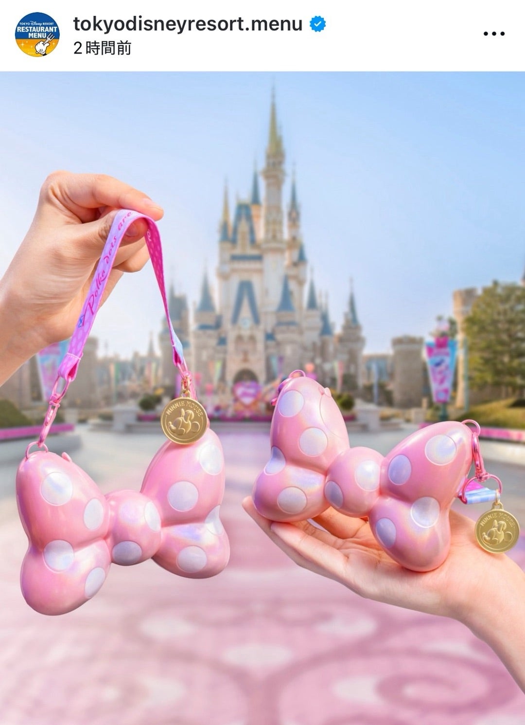 ミニパルのミニスナックケース可愛い！ | かすみめ家のディズニー