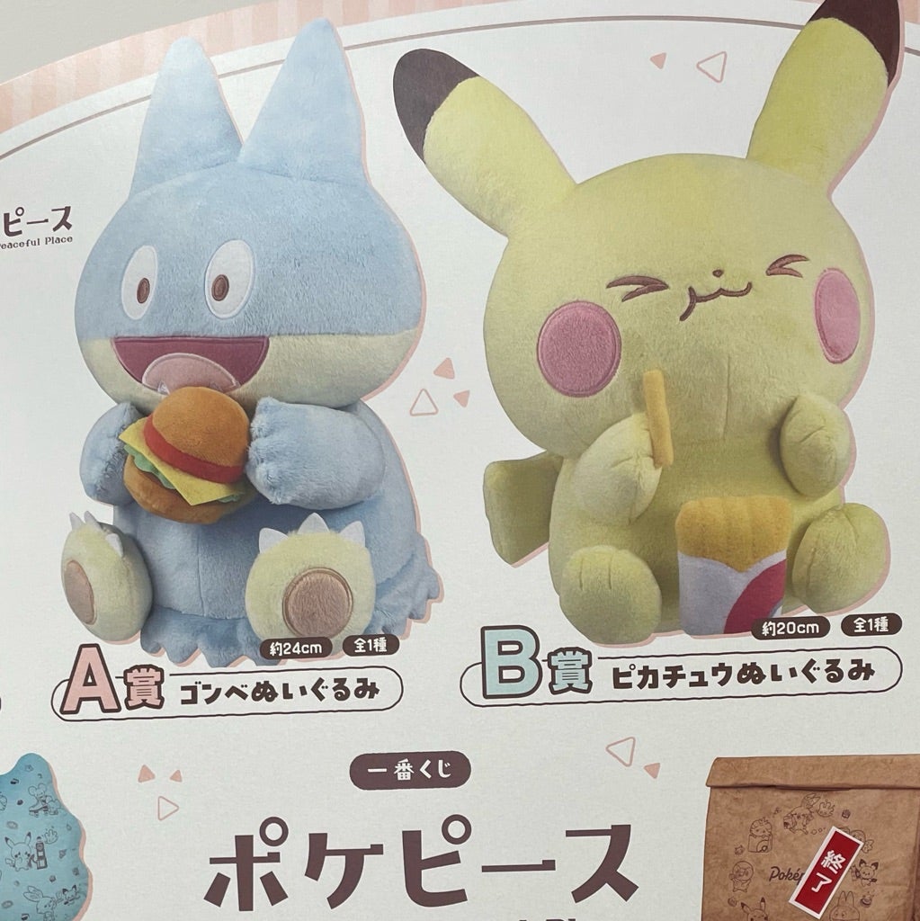 大物ダブルゲットで大歓喜！「ポケピース一番くじ」 | よこみのこよみ