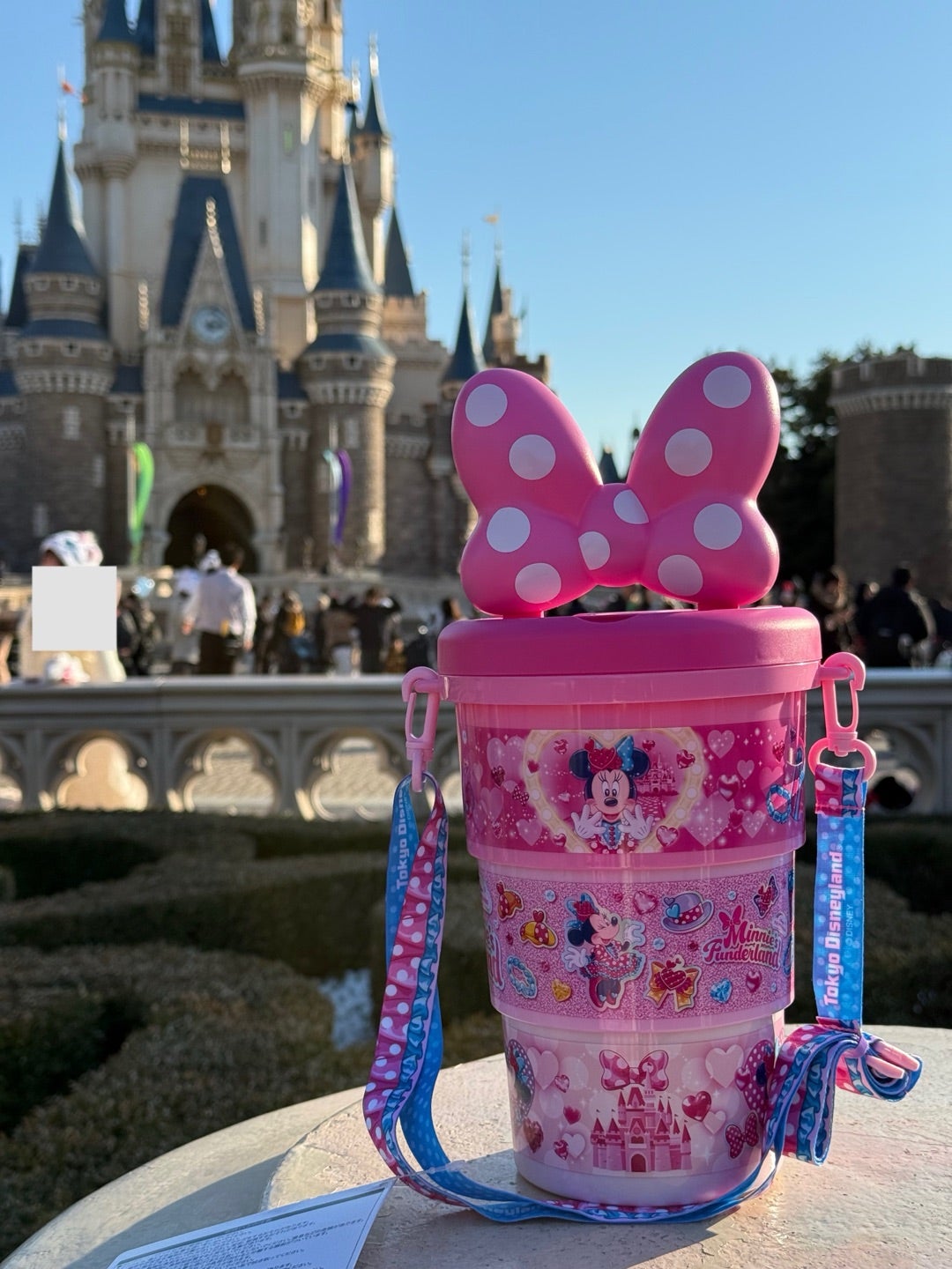 大人気【ミニーファンダーランド】ポップコーンバケット | ☆やまあこ