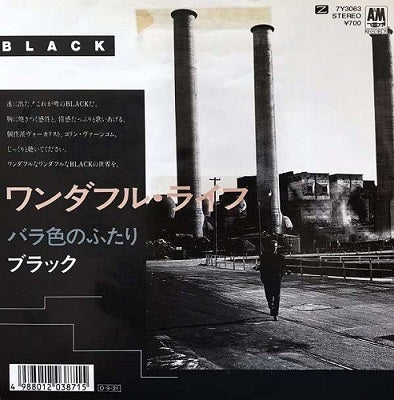 Black/Wonderful Life | Sinn音楽館