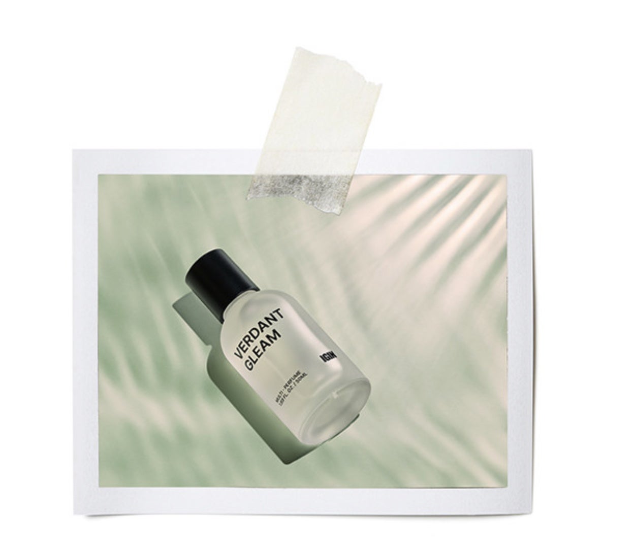 夏に愛された香りが再び｜BTS JIN X IGIN VERDANT GLEAM リニューアル