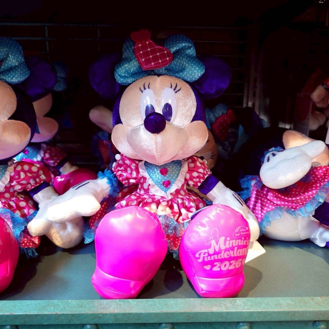 SOTAさま専用 パルパルーザ ミニーのファンダーランド ぬいぐるみ