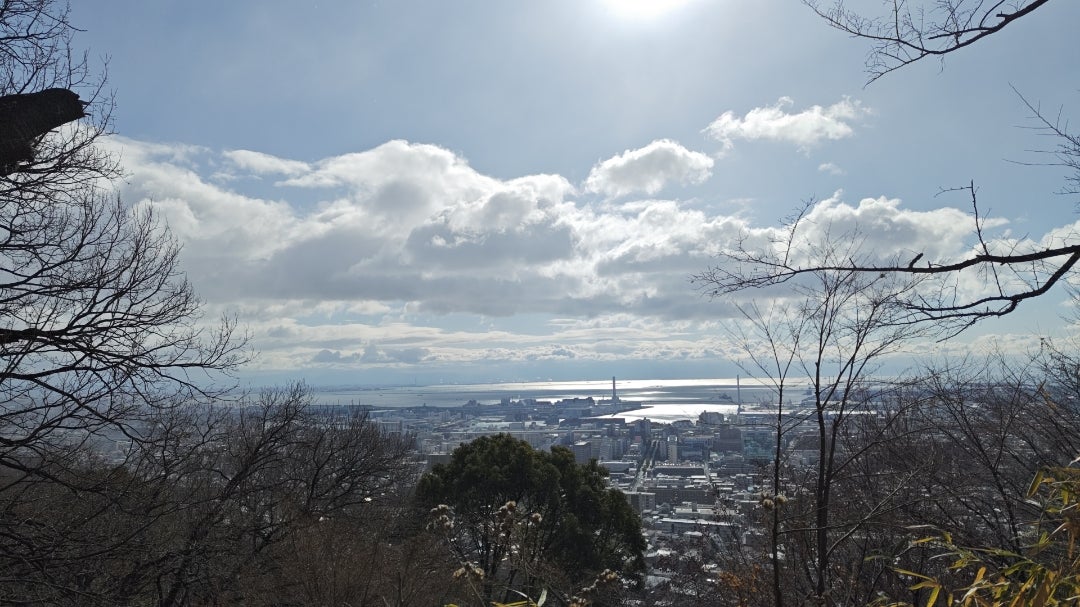 橋本航征さんのプロフィールページ