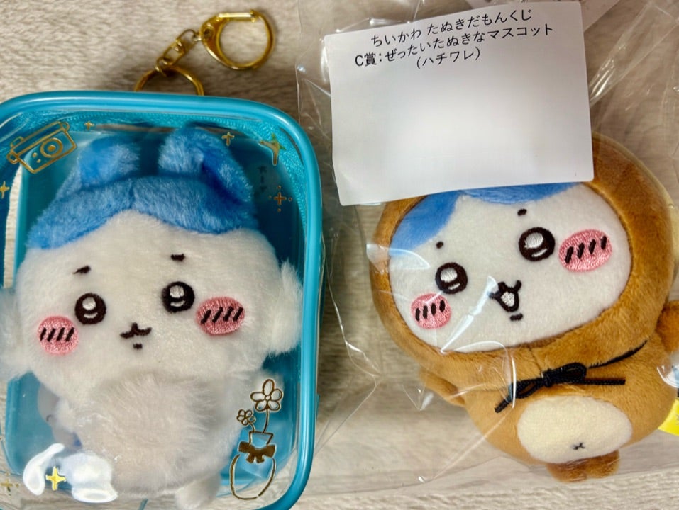 ちいかわ たぬきだもんくじのぬいぐるみが届きました！ | ちいかわ多め