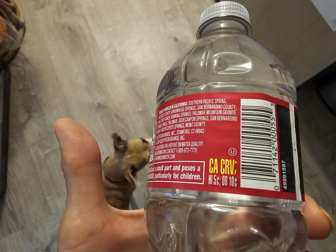 リサイクルして小銭をもらう♬ | Satokoのハワイ・ナチュラルライフ