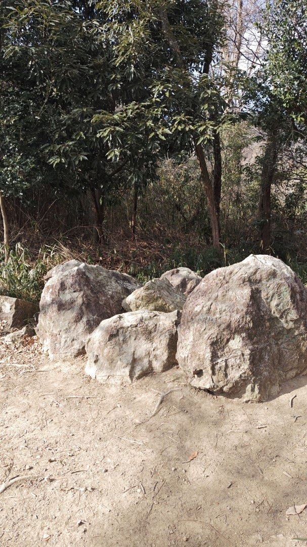 橋本航征さんのプロフィールページ