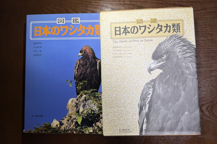 日本のワシタカ類 | awakin blog +Ⅲ