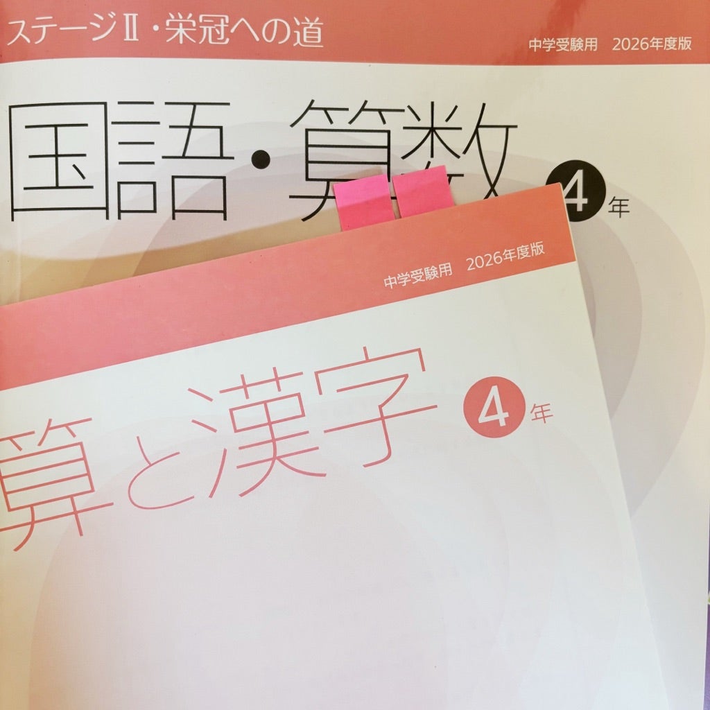 日能研育成テスト結果｜応用問題で伸ばしたい“スピード力” | 理系ママ