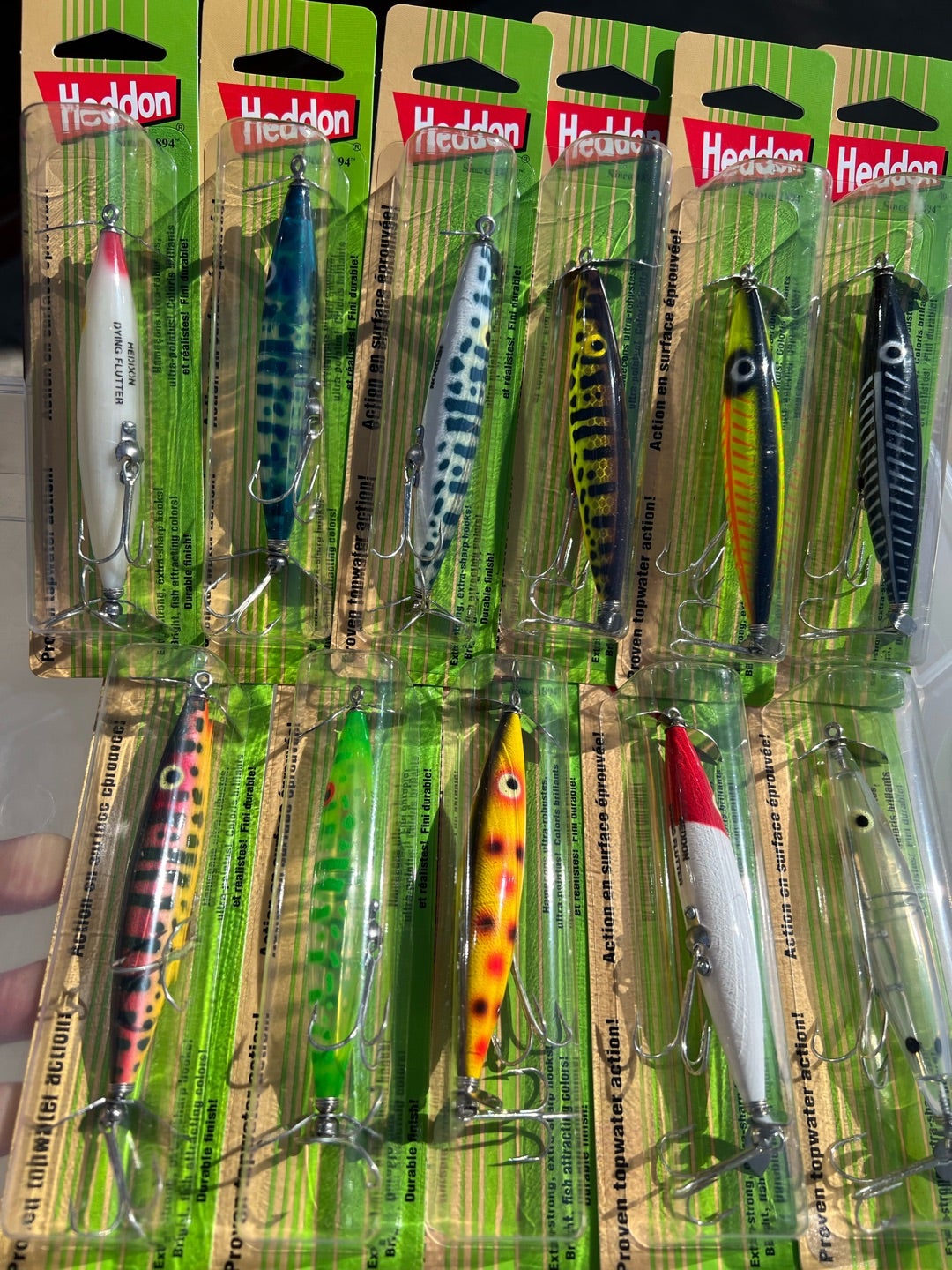 めっちゃ久しぶり ダイイングフラッター | HAMAスタッフBLOGⅡ