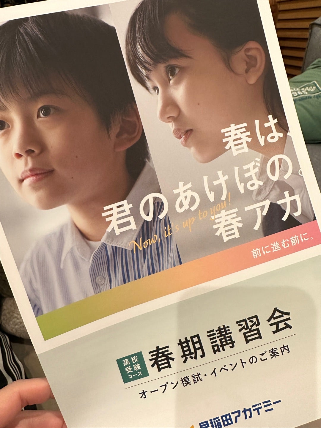 2024年 小6 春期講習会 早稲田アカデミー テキスト 上位校 早稲アカ