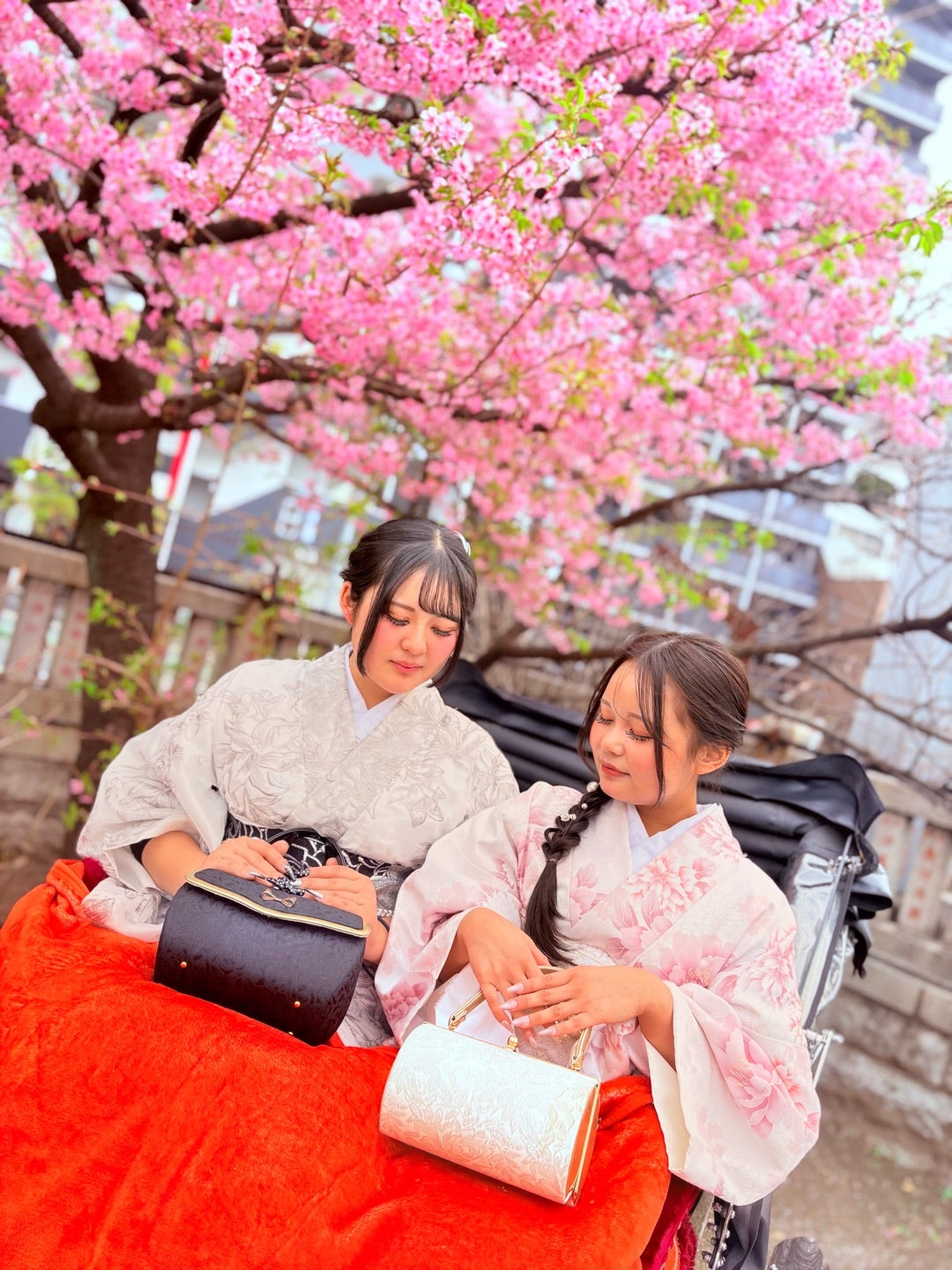 2/24 河津桜〜シモブロ2026〜 | 浅草・姫路！観光人力車の天下車屋！！