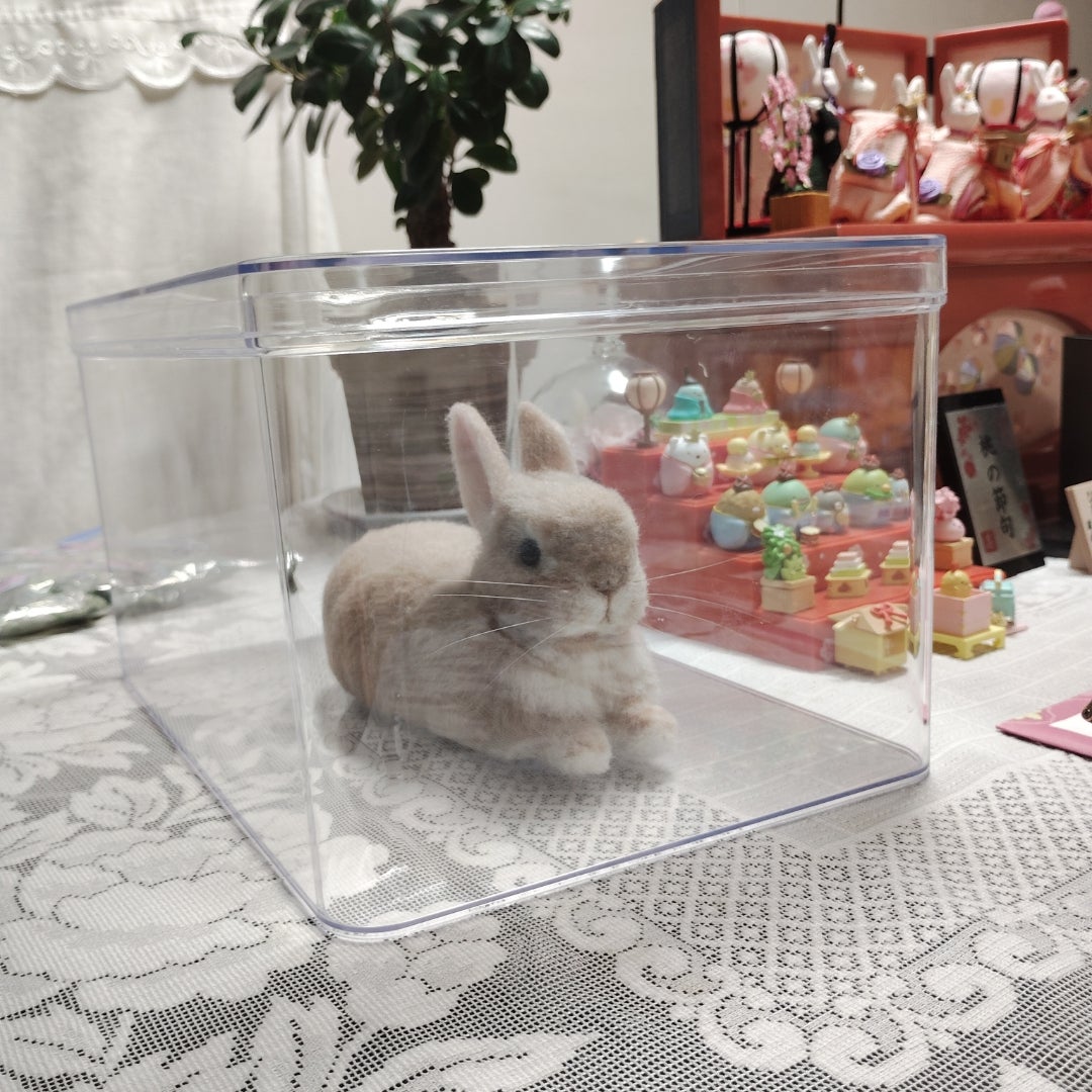 オーダー作品が完成しました＼(^o^)／ご長寿もかちゃんです♪ | 「こ