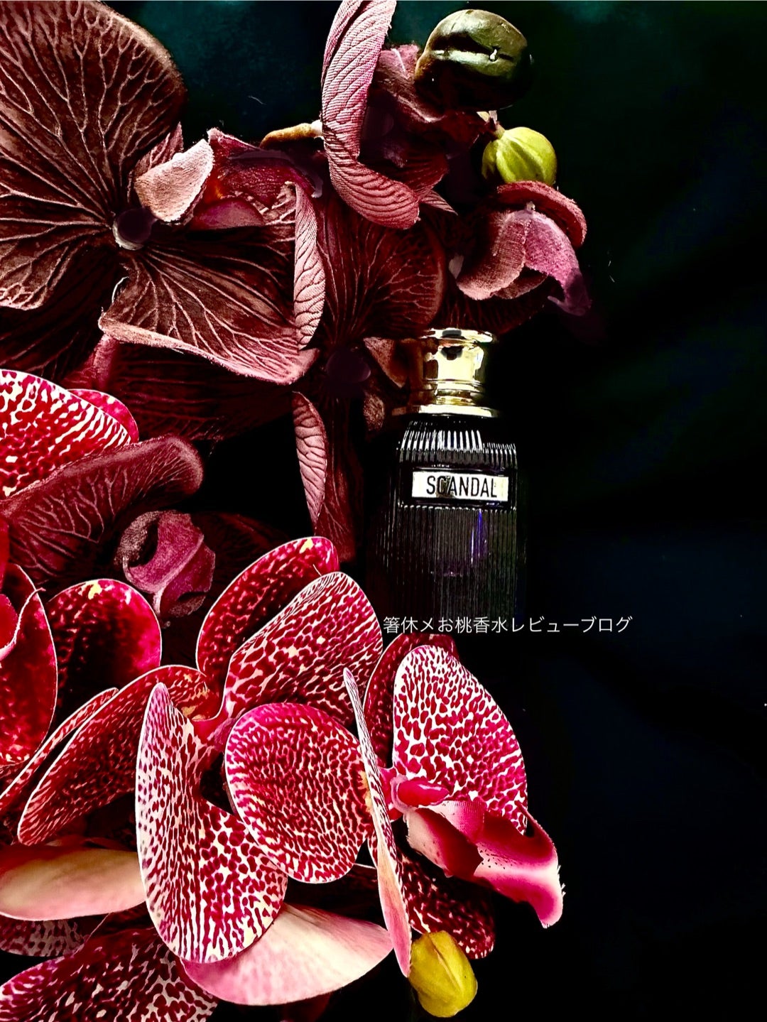 これはココナッツの香水です 香水レビュー スキャンダルインテンス