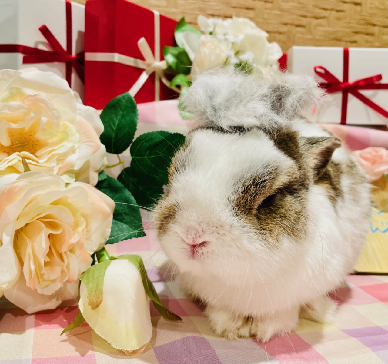 ゆるっと終了～(そしてサクッと？) | 「うさぎさんの食にこだわる